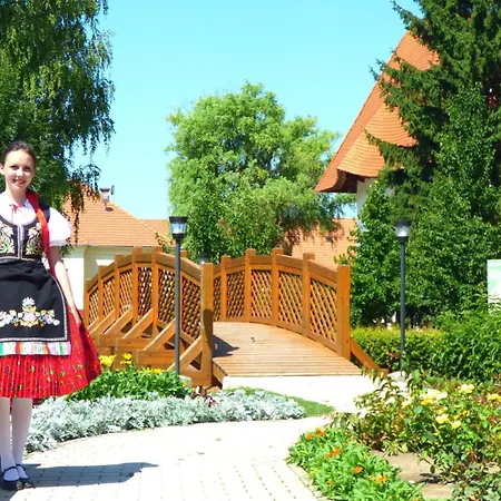 Nanica Vendeghaz - Videki Romantika Buzsák