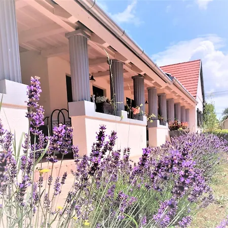 Nanica Vendeghaz - Videki Romantika * Buzsák