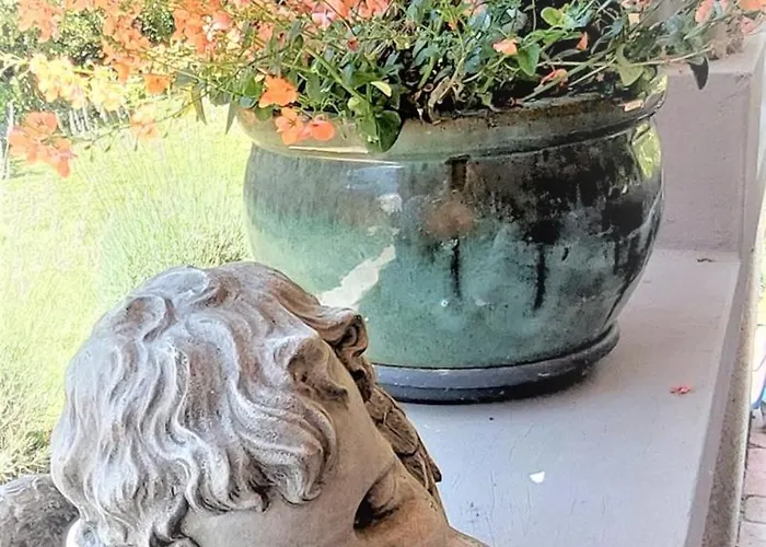 Nanica Vendeghaz - Videki Romantika * Buzsák