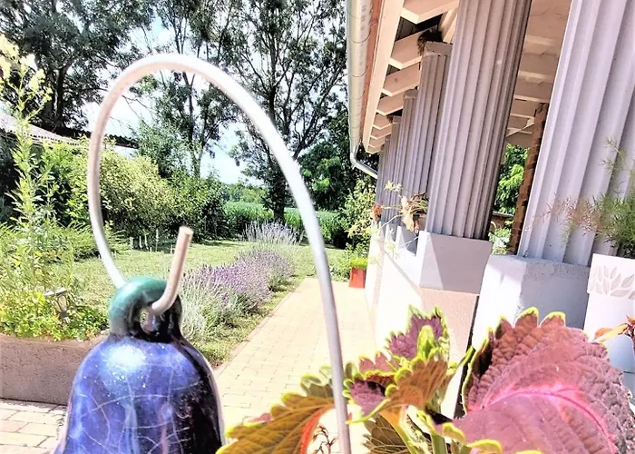 Nanica Vendeghaz - Videki Romantika *