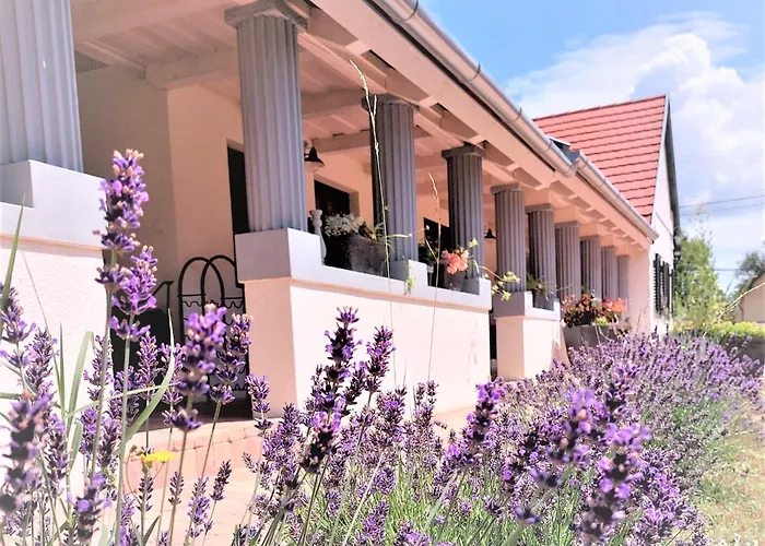 Nanica Vendeghaz - Videki Romantika * Buzsák