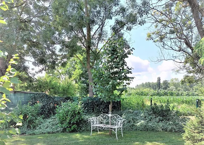 Nanica Vendeghaz - Videki Romantika *