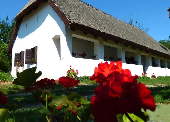 Nanica Vendeghaz - Videki Romantika アパート